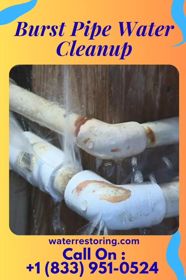 Burst Pipe Water Cleanup in Kingston, OK