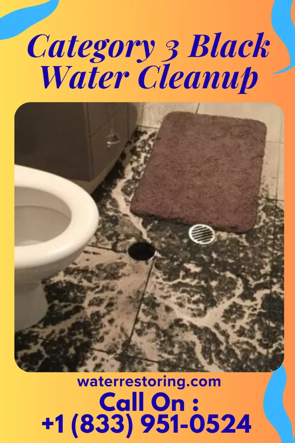 Category 3 Black Water Cleanup in Kingston, OK