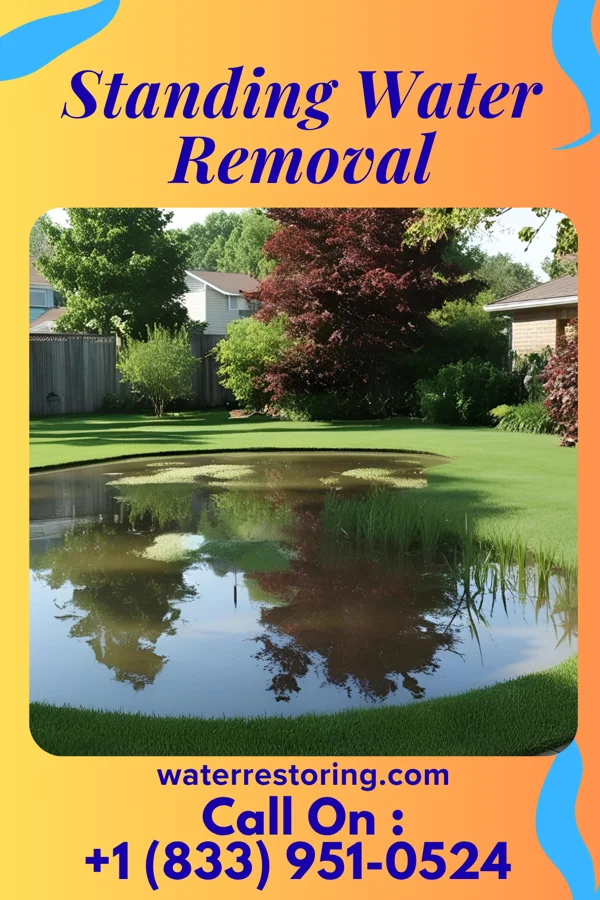 Standing Water Removal in Kingston, OK